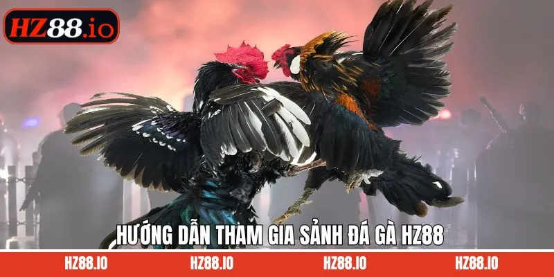 Hướng dẫn thao tác dự đoán trận đấu đá gà HZ88 đơn giản