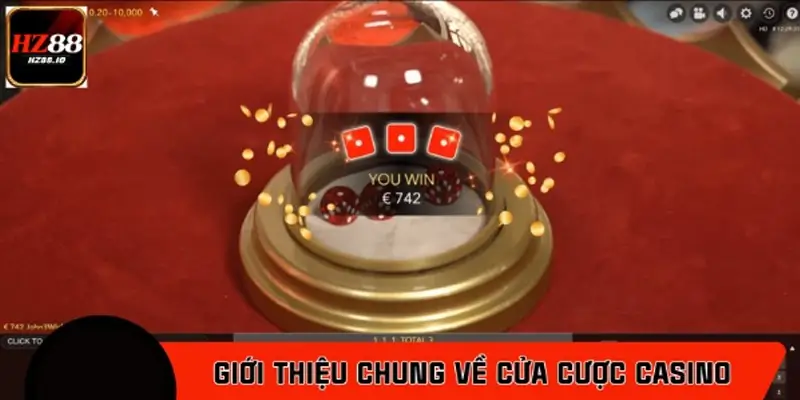 Giới thiệu chung về cửa cược Casino