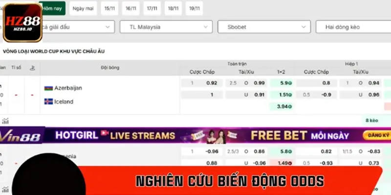 Nghiên cứu biến động Odds
