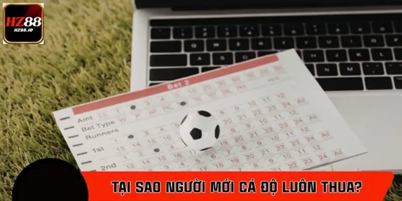 Tại sao người mới chơi cá độ bóng đá luôn thua?