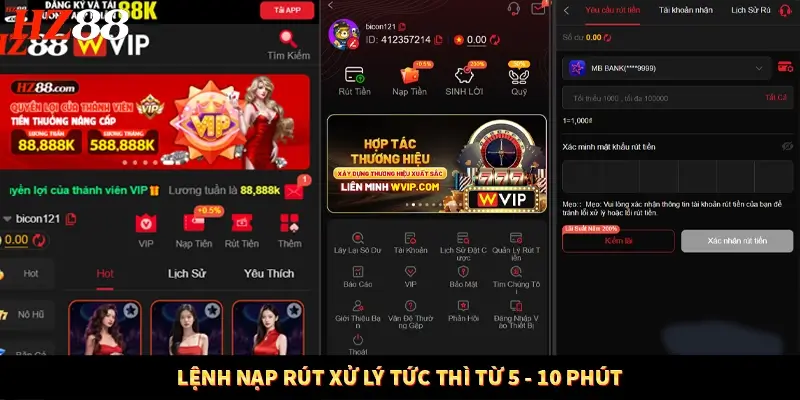 Lệnh nạp rút xử lý tức thì từ 5 - 10 phút Lệnh nạp rút xử lý tức thì từ 5 - 10 phút